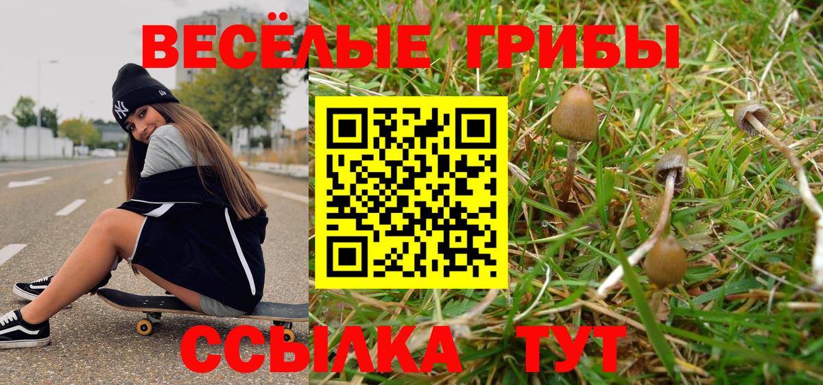 Псилоцибиновые грибы прущие грибы Крымск