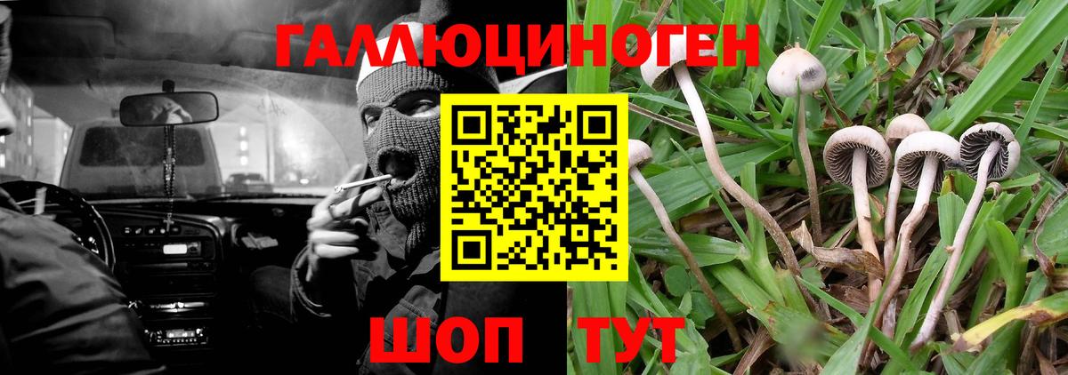 Галлюциногенные грибы мицелий  Вход с VPN  Крымск  Галлюциногенные грибы мухоморы 